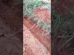 0০.৬ টন ০.৮ টন মিনি ক্রলার এক্সক্যাভার ছোট মাইক্রো এক্সক্যাভার