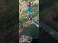 জমির পেষকদন্ত